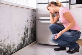 Best Forensic Mold Investigation  in Helena, OK